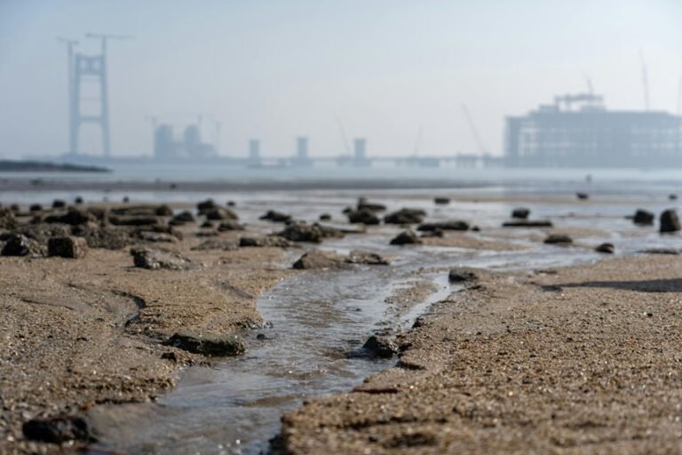 industry expansion summary vector