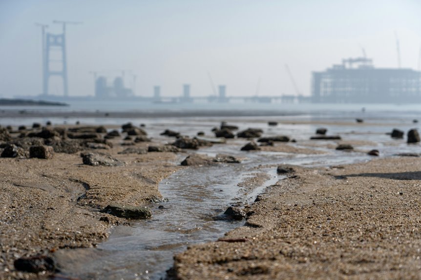 industry expansion summary vector